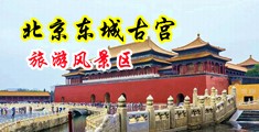 色操骚色中国北京-东城古宫旅游风景区